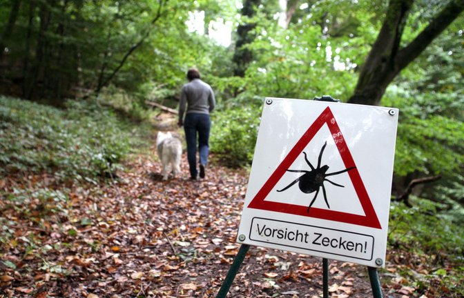 Für Mensch und Tier sind die Zecken eine Gefahr. (Archivbild)<span class='image-autor'>Foto: picture alliance/dpa/Maurizio Gambarini</span>