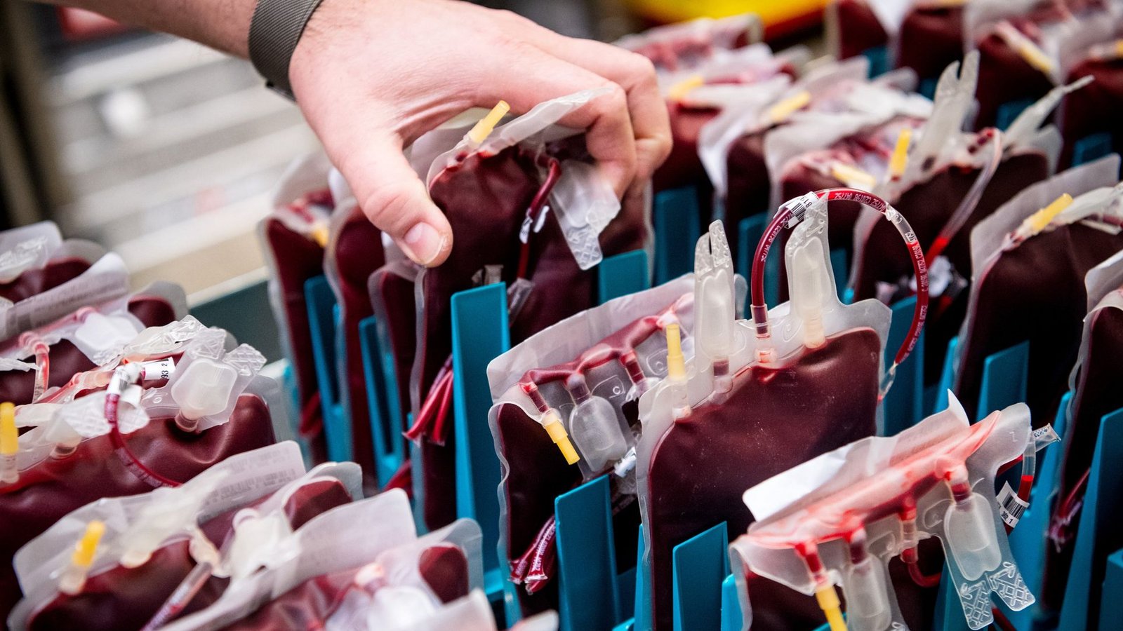 Wer will, kann neben der klassischen Blutspende auch reines Blutplasma spenden. Daraus lassen sich Medikamente herstellen.Foto: dpa/Sina Schuldt