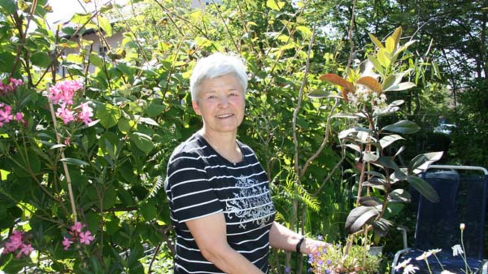 Gudrun Schmid und ihr Kolabaum. Foto: Rücker Gudrun Schmid und ihr Kolabaum. Foto: Rücker