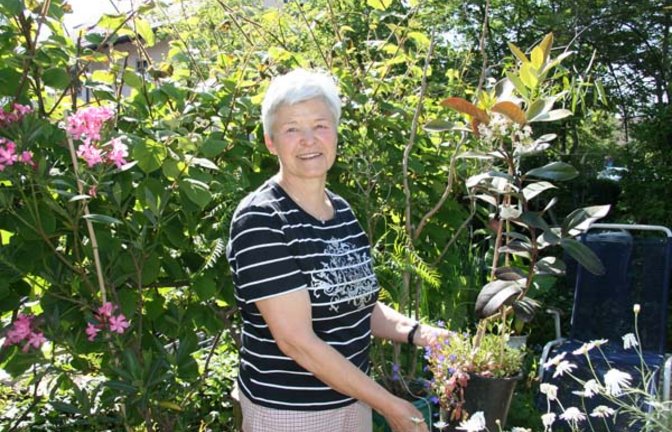 Gudrun Schmid und ihr Kolabaum. Foto: Rücker