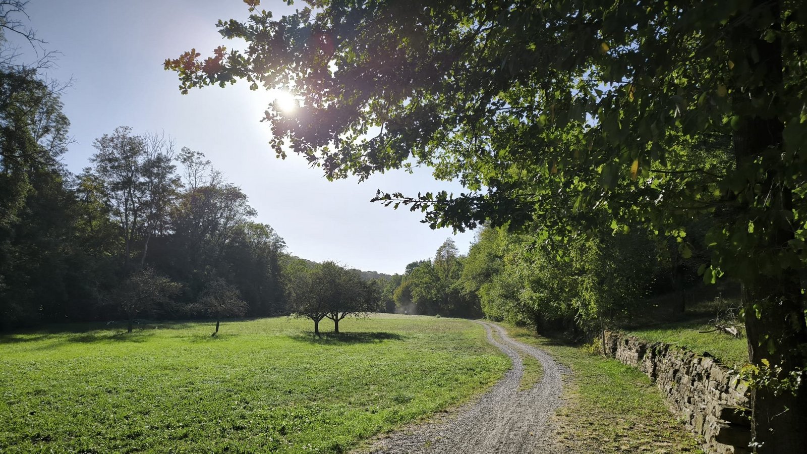 Joggen ist zu jeder Jahreszeit ein toller Ausgleich zum Alltag. Wie wäre es mit einem Abstecher durchs Auricher Tal? Fotos: Glinder Joggen ist zu jeder Jahreszeit ein toller Ausgleich zum Alltag. Wie wäre es mit einem Abstecher durchs Auricher Tal? Fotos: Glinder