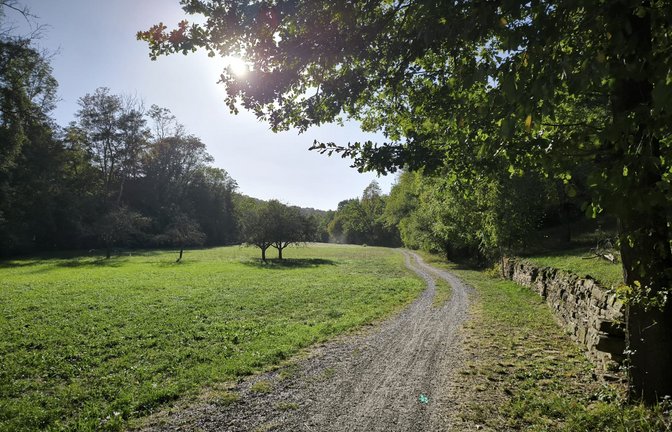 Joggen ist zu jeder Jahreszeit ein toller Ausgleich zum Alltag. Wie wäre es mit einem Abstecher durchs Auricher Tal?  Fotos: Glinder