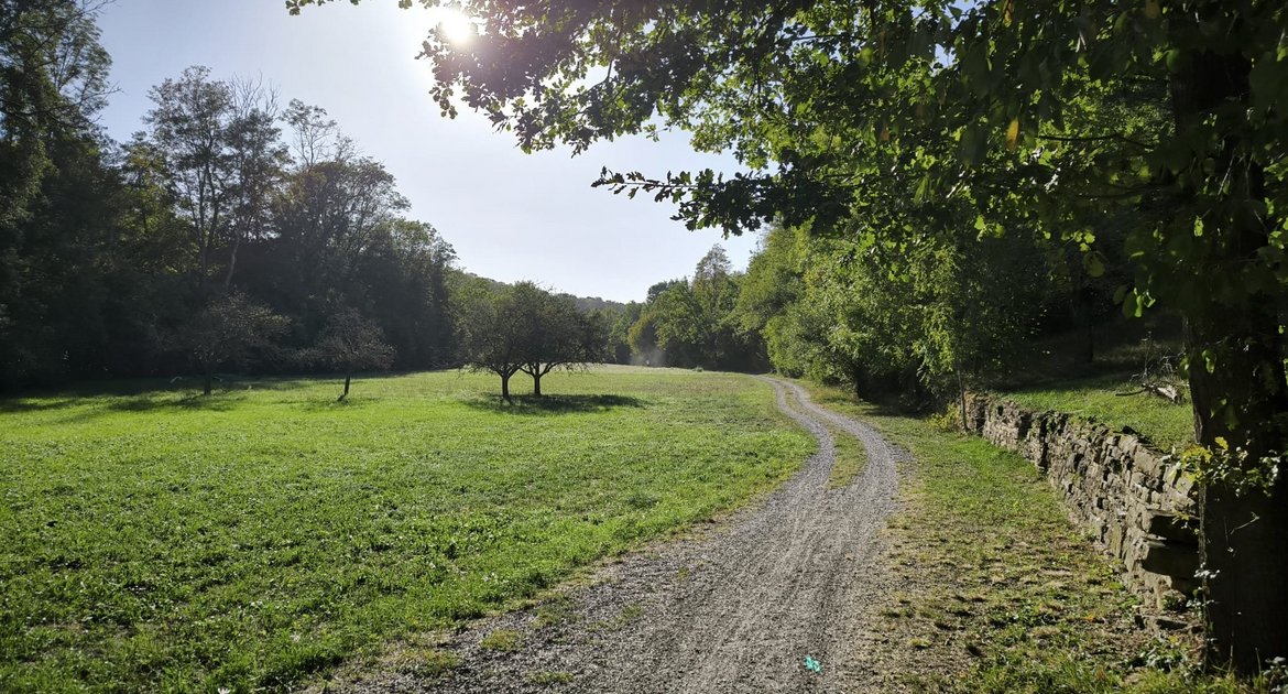 Joggen ist zu jeder Jahreszeit ein toller Ausgleich zum Alltag. Wie wäre es mit einem Abstecher durchs Auricher Tal?  Foto: Glinder