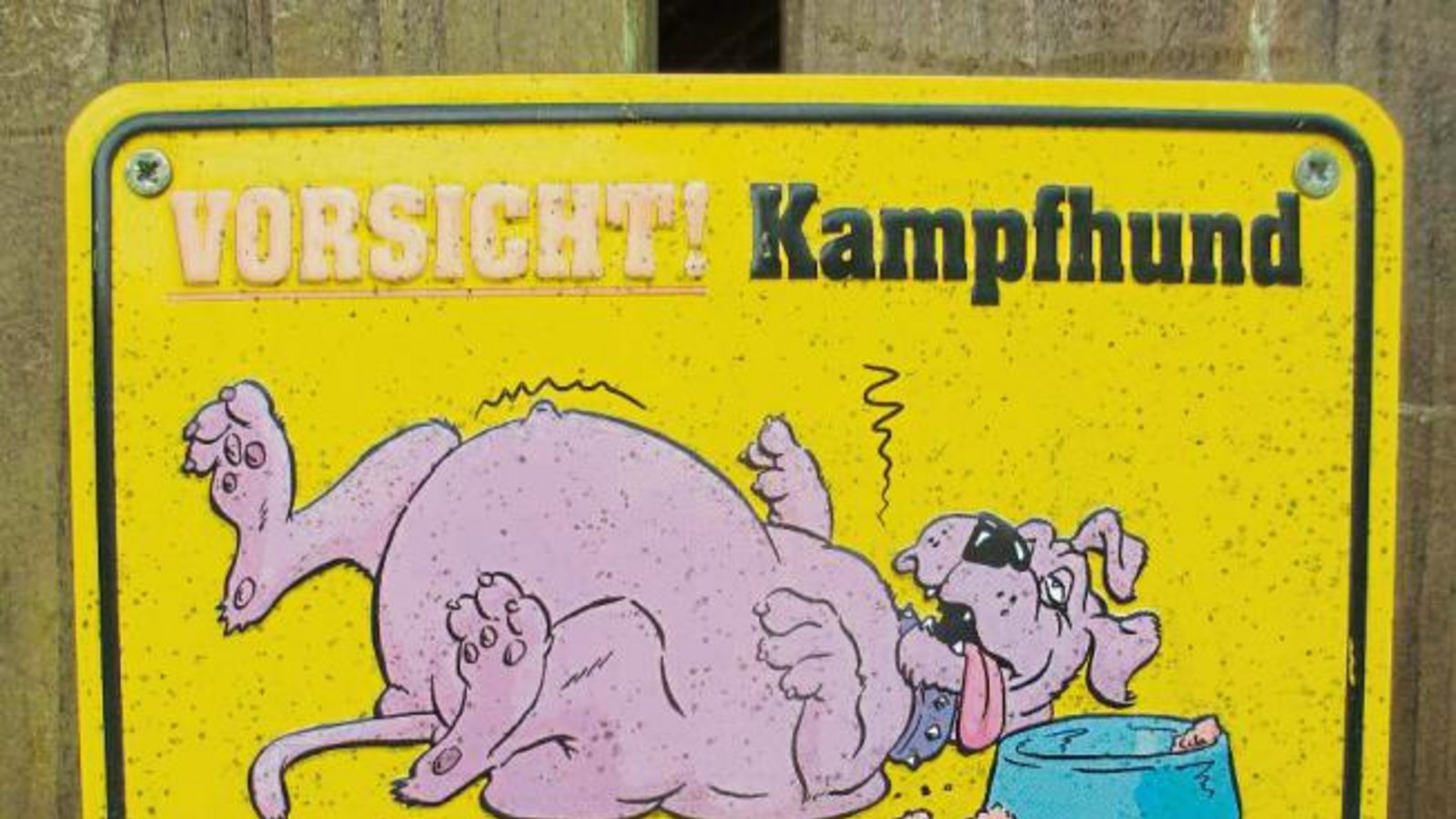 „Endlich mal wieder ein lustiges Hundewarnschild entdeckt“, schreibt Friedbert Rößler aus Vaihingen zu diesem netten Motiv. „Endlich mal wieder ein lustiges Hundewarnschild entdeckt“, schreibt Friedbert Rößler aus Vaihingen zu diesem netten Motiv.