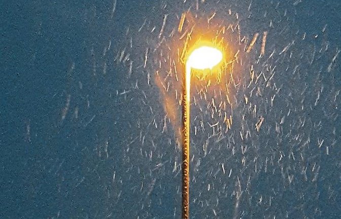 Amselsterben hin oder her: Dieses Exemplar trotzt auch dem Schnee.  Foto: Rücker