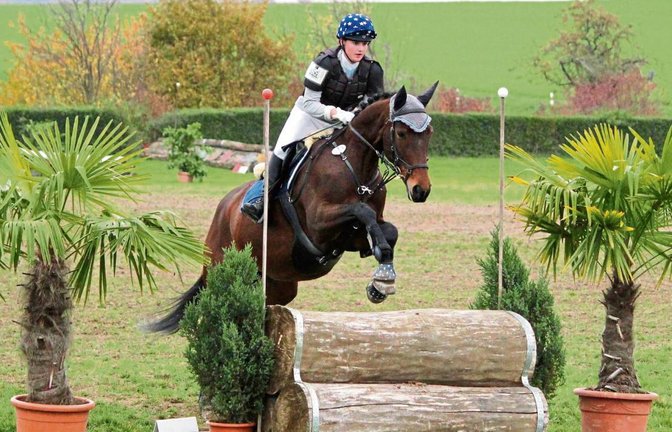 Das Springreiten ist nur eine Disziplin, die bei der Vielseitigkeit erfolgreich absolviert werden muss. Foto: privat