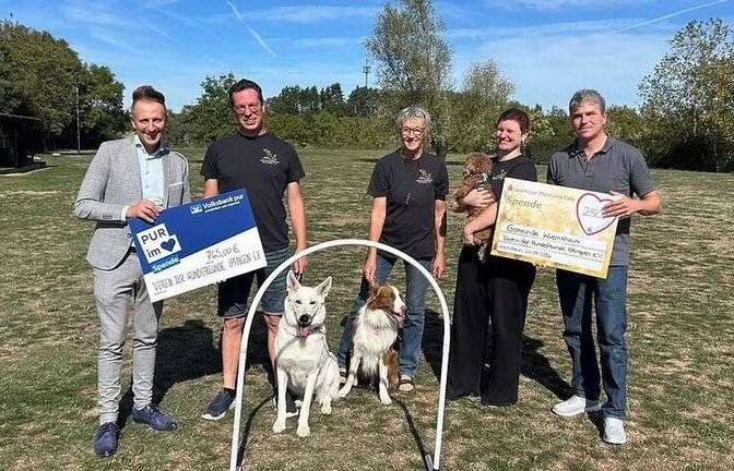 hundefreunde iptingen