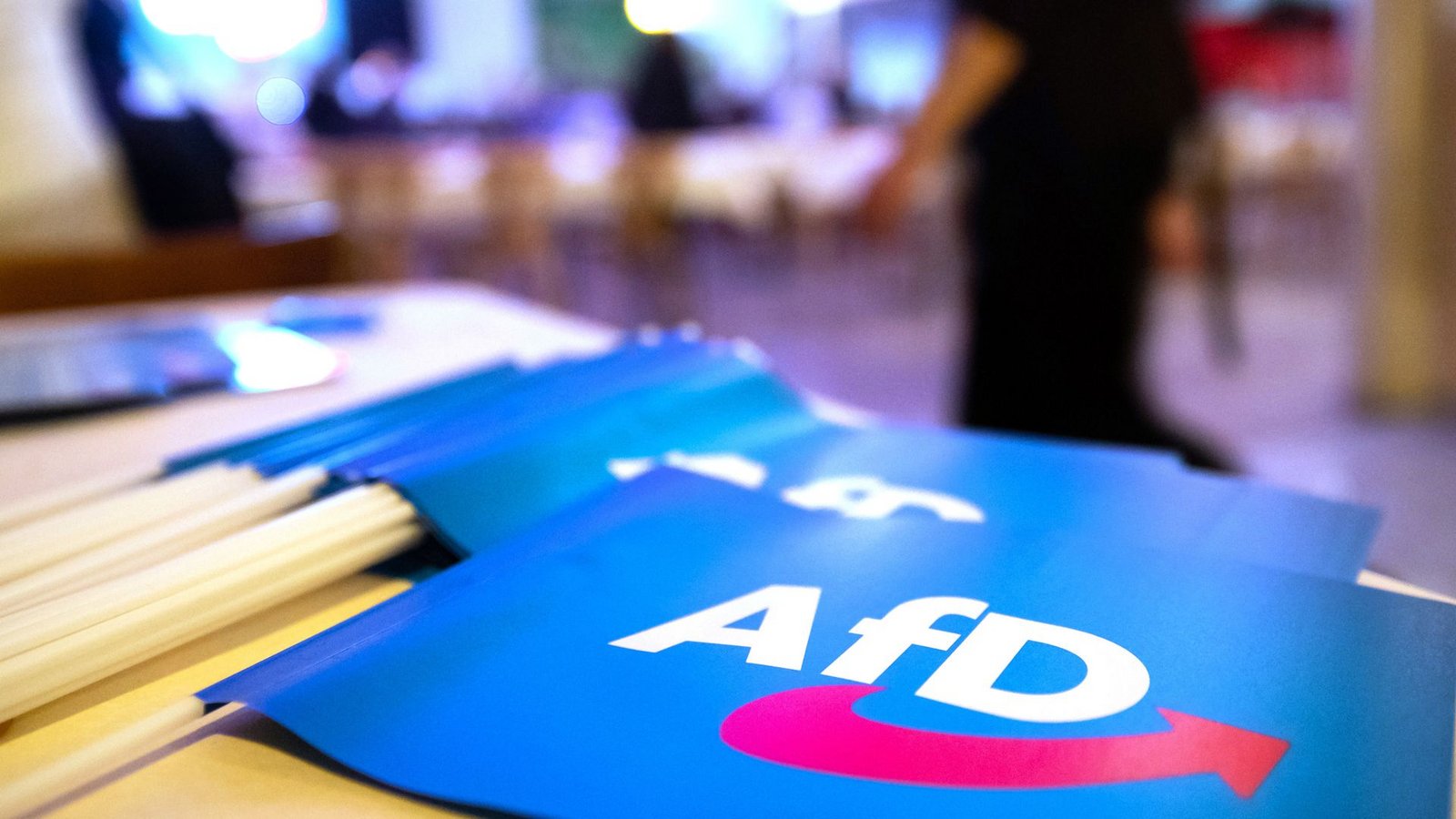 Werbematerial auf einem AfD-LandesparteitagFoto: dpa/Daniel Karmann Werbematerial auf einem AfD-LandesparteitagFoto: dpa/Daniel Karmann