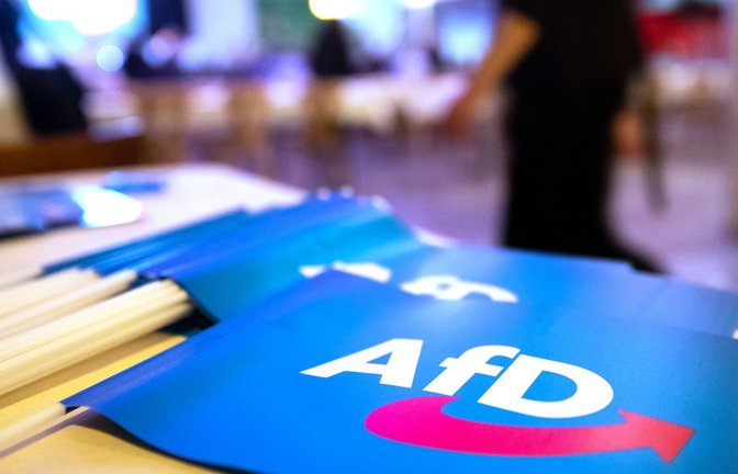 Werbematerial auf einem AfD-Landesparteitag<span class='image-autor'>Foto: dpa/Daniel Karmann</span>