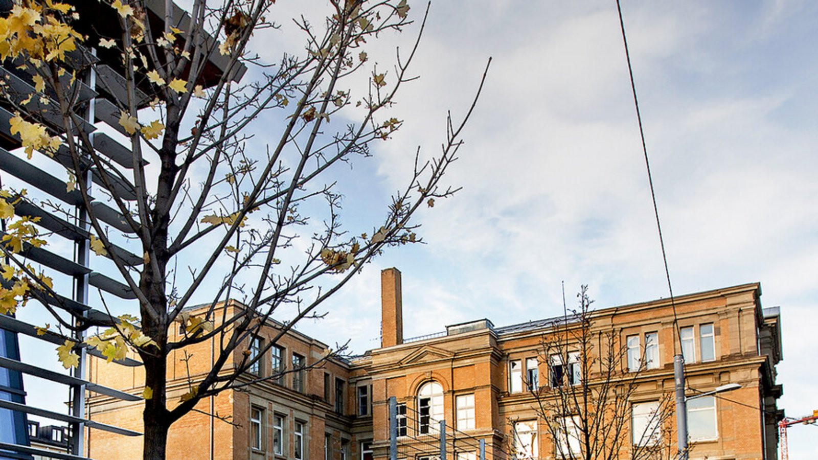 Am Karls-Gymnasium wird es auch künftig einen G8-Zug für die Schüler geben.Foto: Michael Steinert Am Karls-Gymnasium wird es auch künftig einen G8-Zug für die Schüler geben.Foto: Michael Steinert
