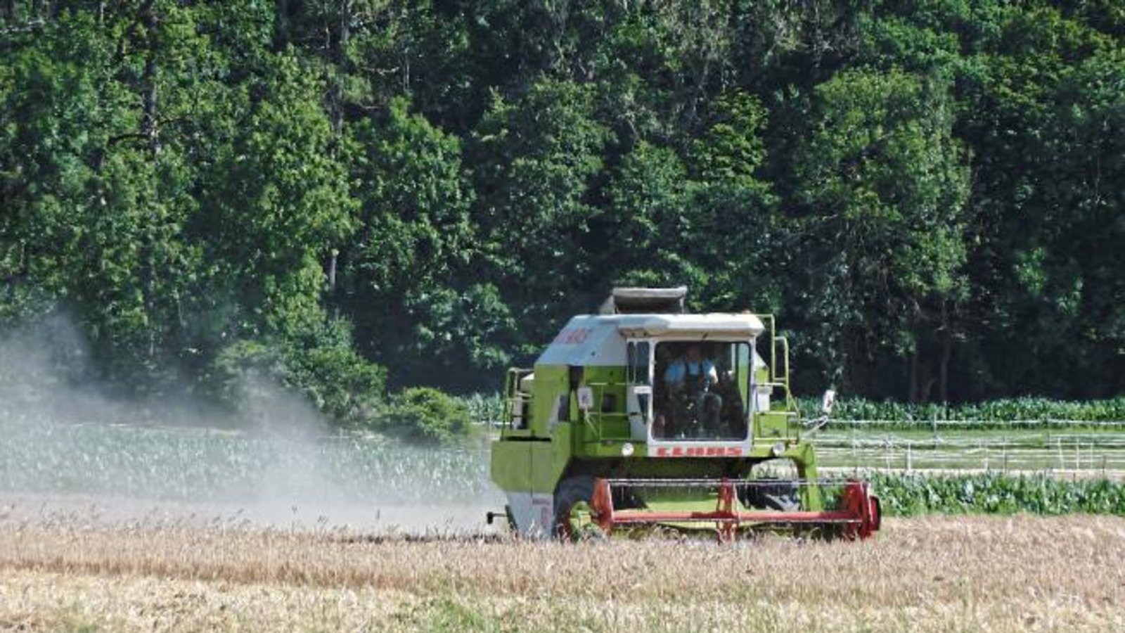 Mähdrescher auf den Feldern. Start der Getreideernte; hier bei Oberriexingen. Foto: aa