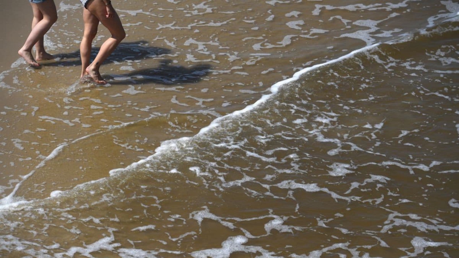 In der Ostsee werden im Sommer regelmäßig Vibrionen nachgewiesen.Stefan Sauer/dpa/dpa In der Ostsee werden im Sommer regelmäßig Vibrionen nachgewiesen.Stefan Sauer/dpa/dpa
