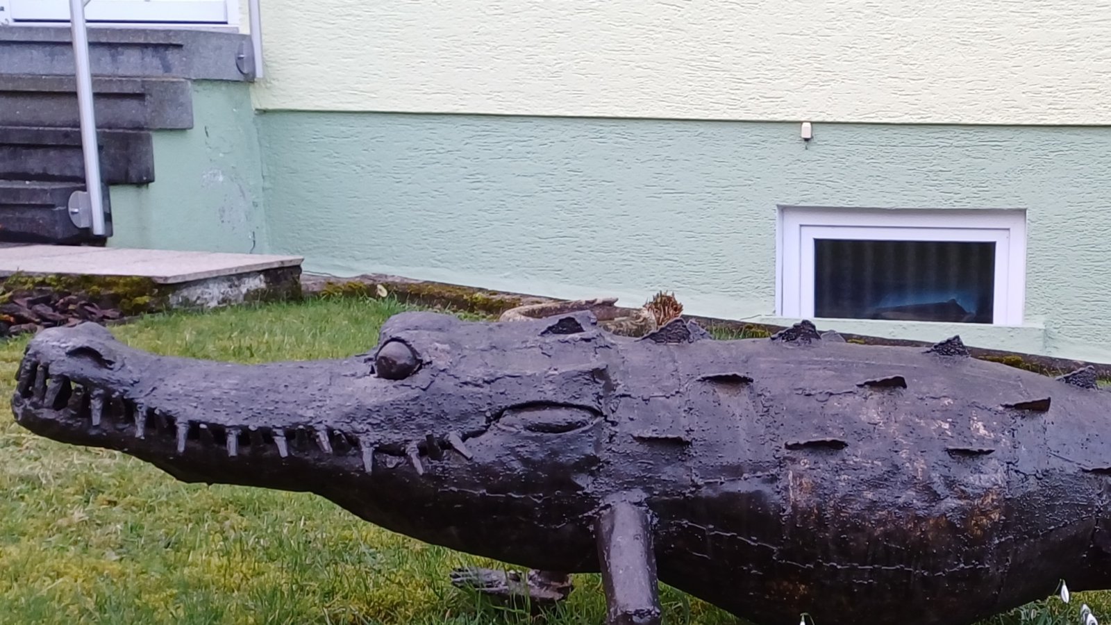 Das gibt es nur auf Vaihinger Markung: Dieses Krokodil wird von Schneeglöckchen am Bauch gekitzelt.  Foto: Rücker