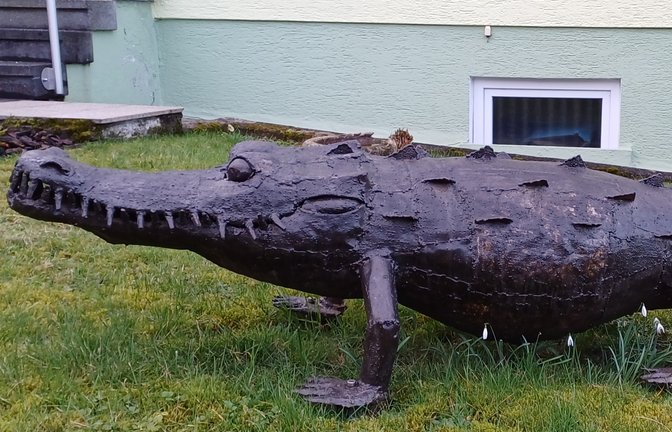 Das gibt es nur auf Vaihinger Markung: Dieses Krokodil wird von Schneeglöckchen am Bauch gekitzelt.  <span class='image-autor'>Foto: Rücker</span>