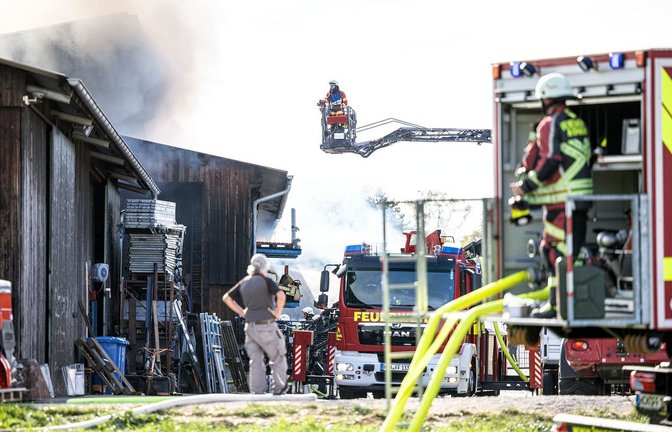 Nach ersten Erkenntnissen verendeten bei dem Feuer etwa 600 Gänse und Hühner.<span class='image-autor'>Nicklas Walther/onw-images/dpa</span>