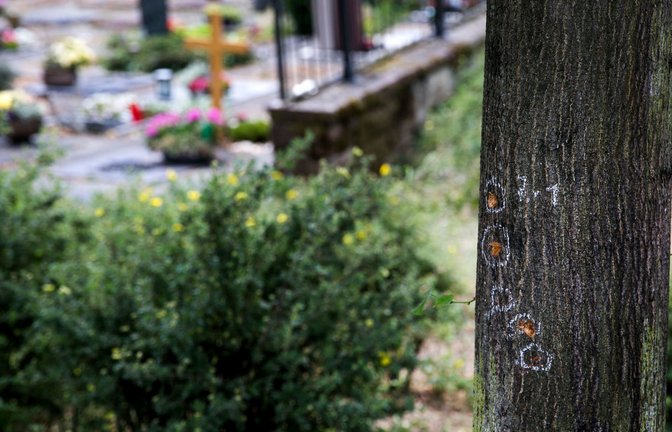 Tatort Friedhof in Altbach: Spuren des Anschlags an einem Baum.<span class='image-autor'>Foto: Ines Rudel/Ines Rudel</span>