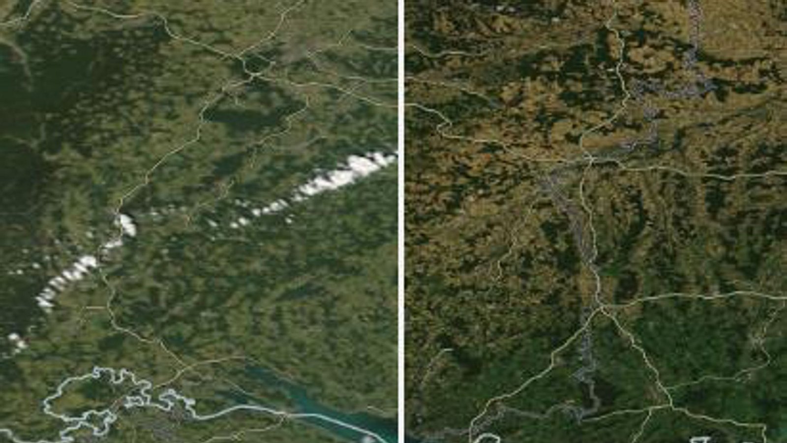 Das südliche Baden-Württemberg mit dem Bodensee im Juni (links) und im August (rechts)Foto: Nasa/Vertical52 (Recherche) Das südliche Baden-Württemberg mit dem Bodensee im Juni (links) und im August (rechts)Foto: Nasa/Vertical52 (Recherche)