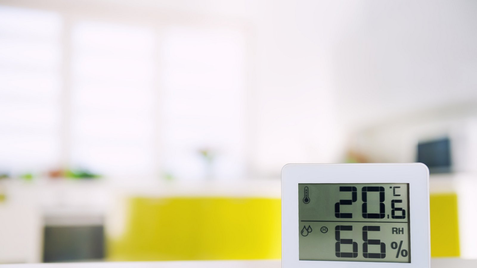 Im Idealfall sollte die Luftfeuchtigkeit zwischen 40 und 60 % liegen.Foto: likuzia / shutterstock.com