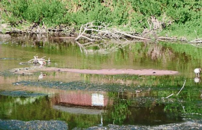 Die Enz – hier beim Vaihinger Freibad – ist zum Rinnsal geworden. Foto: Arning