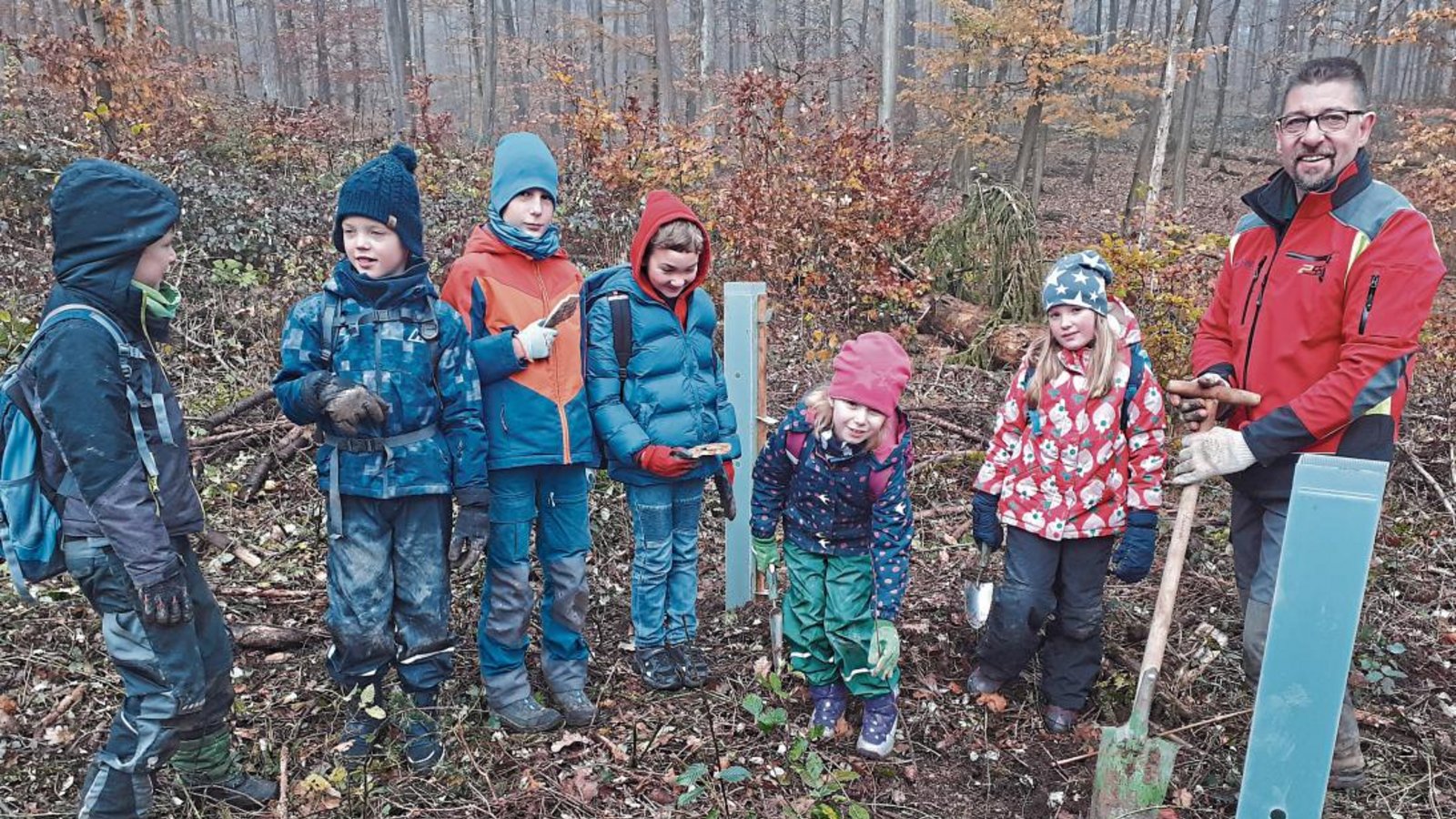 Im Wald am Baiselsberg pflanzt Förster Theo Wöhr gemeinsam mit Schülerinnen und Schülern in Hohenhaslach kleine Flatterulmen. Foto: Glemser Im Wald am Baiselsberg pflanzt Förster Theo Wöhr gemeinsam mit Schülerinnen und Schülern in Hohenhaslach kleine Flatterulmen. Foto: Glemser