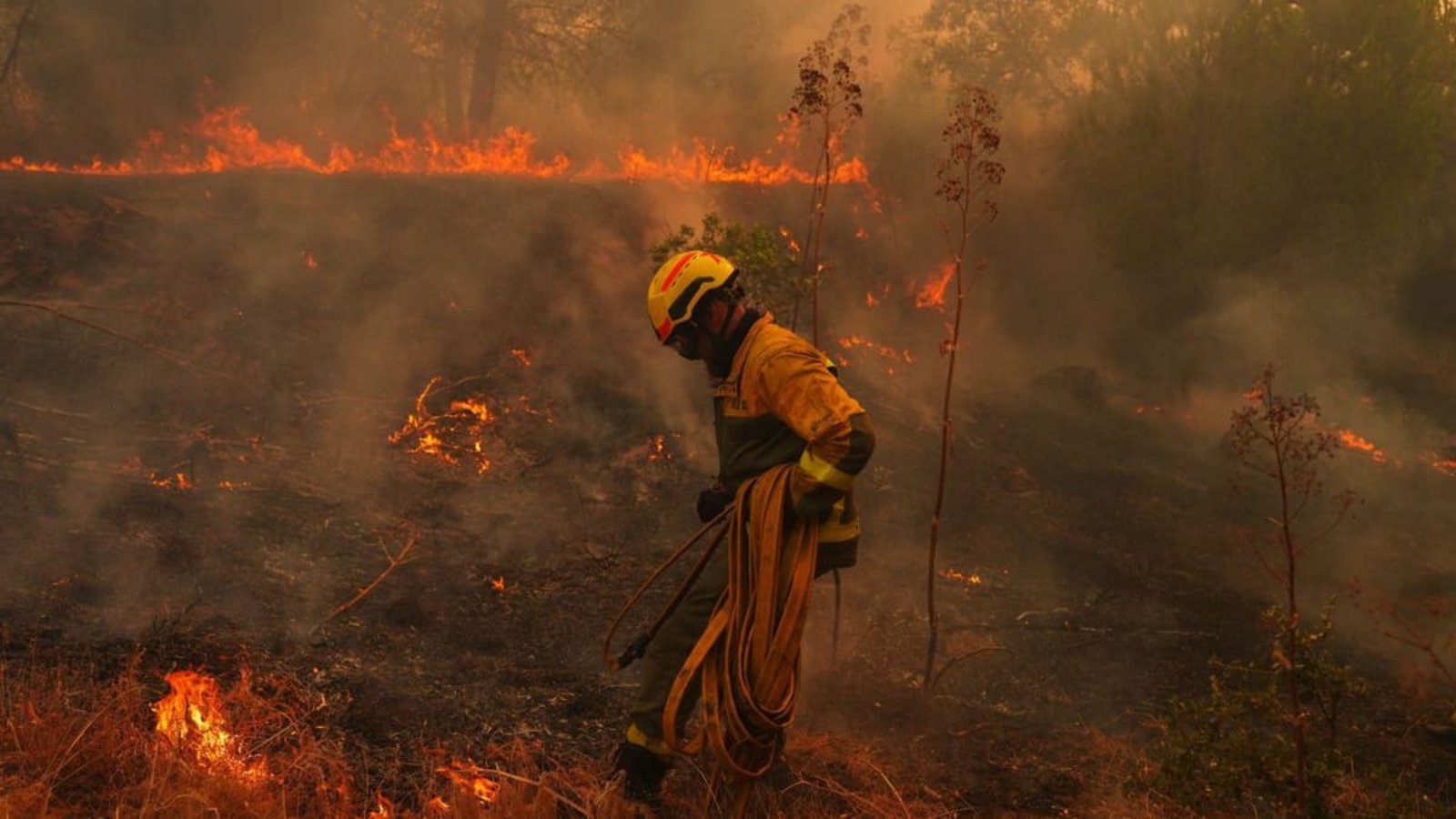 San Martín de Valdeiglesias: Ein Feuerwehrmann trägt einen Schlauch, während er einen Waldbrand bekämpft. Spanien kämpft gegen zahlreiche Waldbrände. Wegen der schweren Feuer rief die Regierung für die Umgebung der Hauptstadt Madrid sowie für die Region Ávila den Notstand aus.Manu Fernandez/AP/dpa San Martín de Valdeiglesias: Ein Feuerwehrmann trägt einen Schlauch, während er einen Waldbrand bekämpft. Spanien kämpft gegen zahlreiche Waldbrände. Wegen der schweren Feuer rief die Regierung für die Umgebung der Hauptstadt Madrid sowie für die Region Ávila den Notstand aus.Manu Fernandez/AP/dpa
