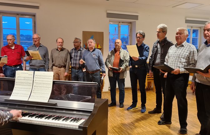 Der Männerchor bei der Mitgliederversammlung des Liederkranzes. <span class='image-autor'>Foto: p</span>