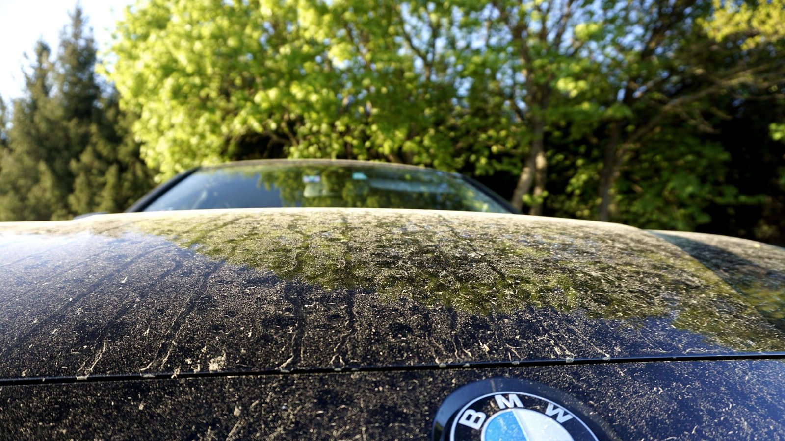 Viele Autofahrer ärgern sich derzeit über verdreckte Fahrzeuge.Foto: imago images/MiS/via www.imago-images.de