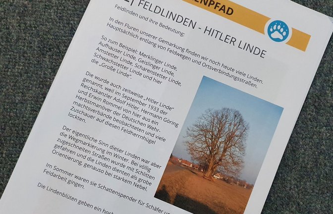Äußerlich macht die „Hitler-Linde“ keinen rechtslastigen Eindruck.<span class='image-autor'>Foto: red/privat</span>