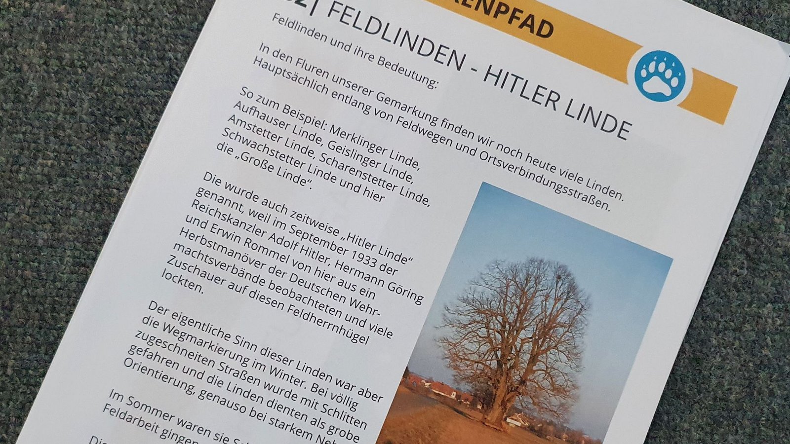 Äußerlich macht die „Hitler-Linde“ keinen rechtslastigen Eindruck.Foto: red/privat
