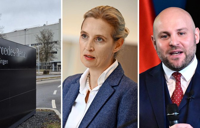 Doch nicht in Sindelfingen bei Mercedes vor Ort: Alice Weidel und Markus Frohnmaier<span class='image-autor'>Foto: Rouven Spindler, Niklas Graeber/dpa, Bernd Weißbrod/dpa</span>