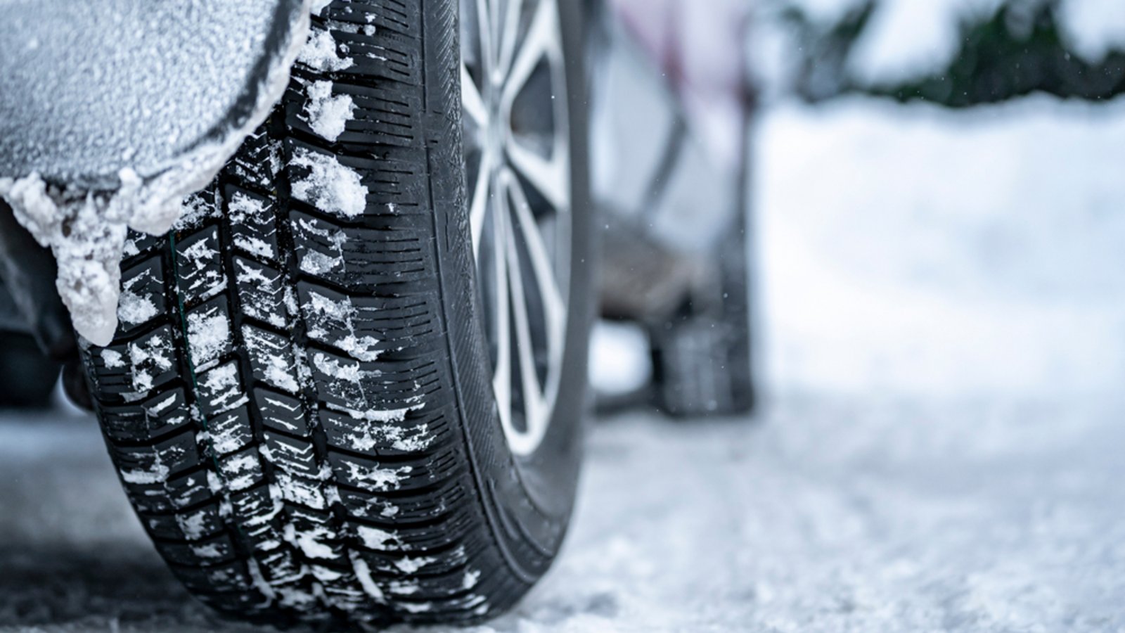 Erfahren Sie, wie sich Winter- und Ganzjahresreifen (Allwetterreifen) unterscheiden, welche Kennzeichnungen wichtig sind und worauf Sie bei der Nutzung im Straßenverkehr achten müssen.Foto: Zedspider / Shutterstock.com Erfahren Sie, wie sich Winter- und Ganzjahresreifen (Allwetterreifen) unterscheiden, welche Kennzeichnungen wichtig sind und worauf Sie bei der Nutzung im Straßenverkehr achten müssen.Foto: Zedspider / Shutterstock.com