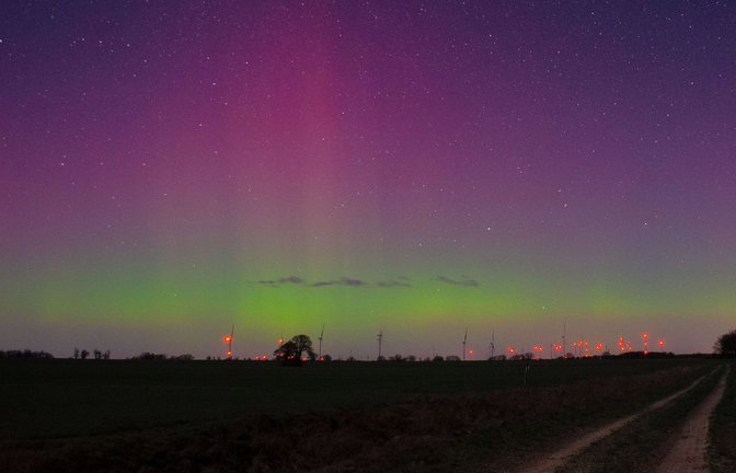 Polarlichter leuchten im Himmel über dem Stadtrand von Havelberg in Sachsen-Anhalt<span class='image-autor'>Foto: dpa/Thomas Schulz</span>