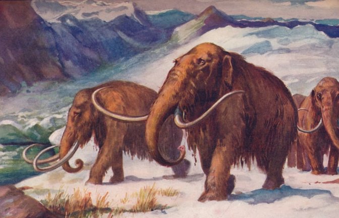 Wollhaarmammuts während der Eiszeit: Bild von Edward Frederick Skinner (1865–1924), um 1907.<span class='image-autor'>Imago/Heritage Images</span>