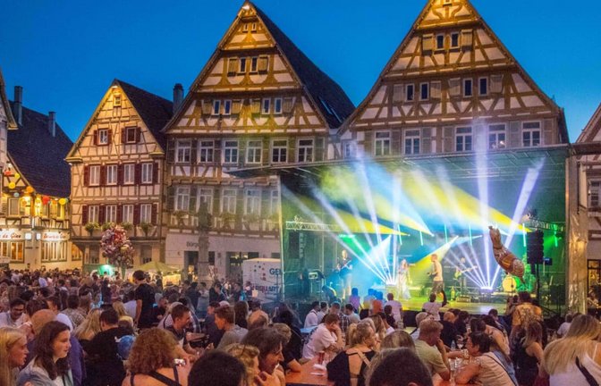 Das Herrenberger Stadtfest lockt in die historische Innenstadt.<span class='image-autor'>Helmut Däuble / Stadt Herrenberg</span>