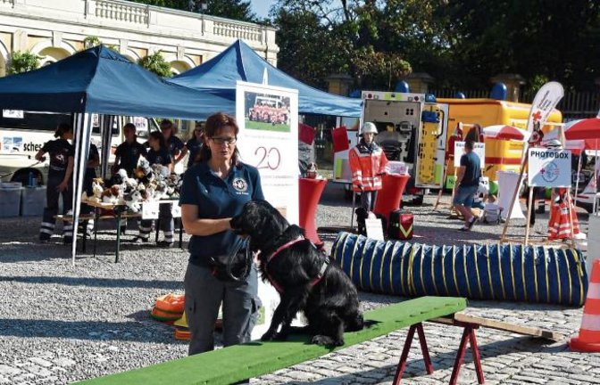 Auch die Hundestaffel des DRK-Kreisverbandes war mit Vorführungen dabei.  Fotos: p