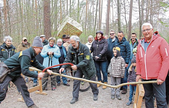 Zur Eröffnung wurde von Wolfgang Steinacker (Mitte) und Luca Schmid kein Band durchschnitten, sondern ein Ast durchgesägt. Forstamtsleiterin Gundula Gmelin (hinten links) und Bürgermeister Peter Schäfer (rechts) gingen dabei ebenfalls zur Hand.  Fotos: Banholzer
