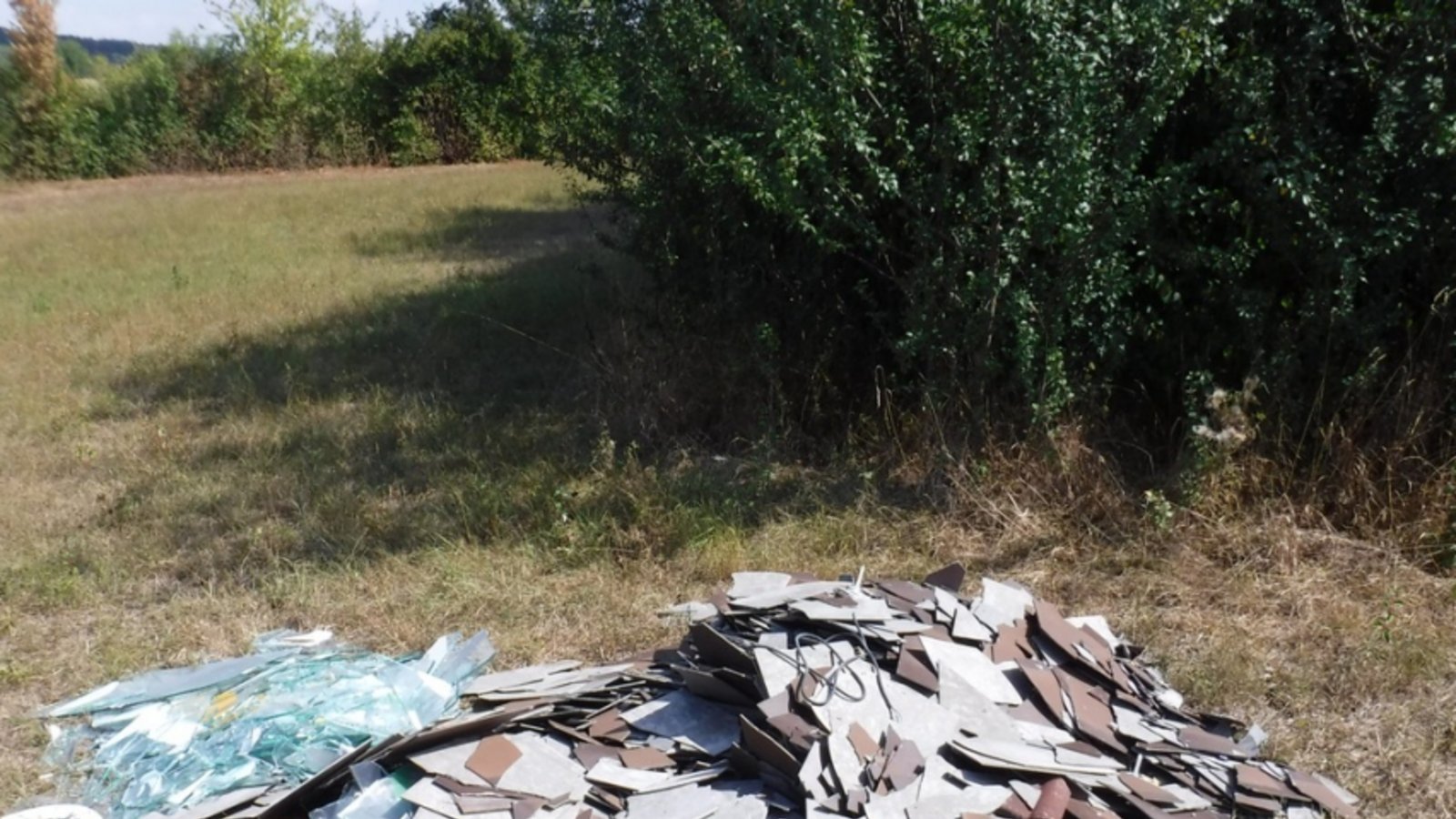 Illegale Müllablagerung auf der Wiese. p Illegale Müllablagerung auf der Wiese. p