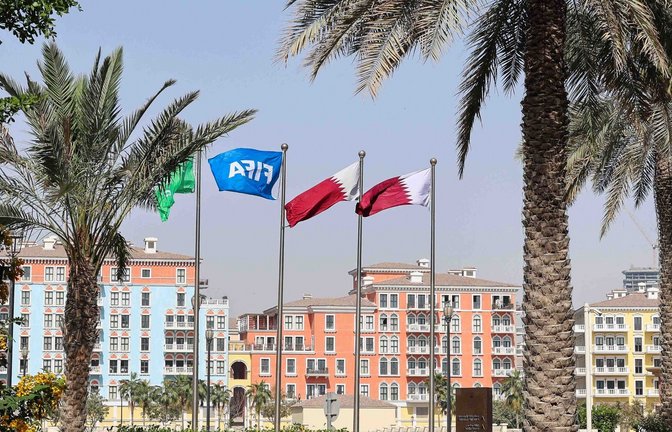 Flaggen in den Farben Katars und eine Fifa-Flagge sind hinter Palmen zu sehen.<span class='image-autor'>Foto: Christian Charisius/dpa</span>