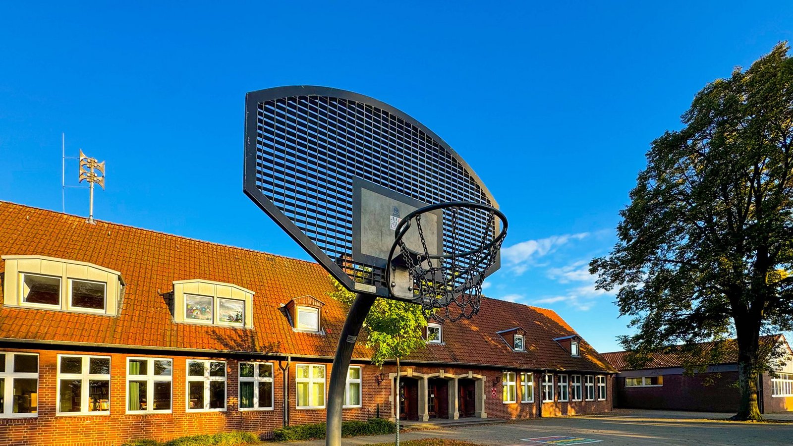 Schulgelände sollen Naturorte werden. (Symbolbild)Foto: IMAGO/Steinsiek.ch/IMAGO/JOERAN STEINSIEK