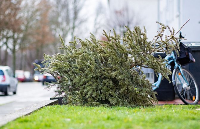 Foto: dpa/Marcel Kusch