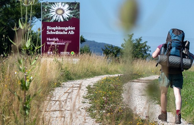 Auf der Schwäbischen Alb und im Schwarzwald gibt es bereits ein Biosphärengebiet. In der Region Allgäu-Oberschwaben soll das dritte in Baden-Württemberg entstehen. (Symbolbild)<span class='image-autor'>Foto: Ines Rudel</span>