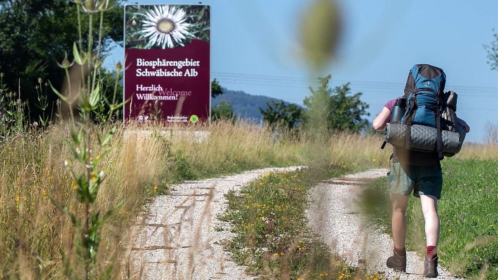 Auf der Schwäbischen Alb und im Schwarzwald gibt es bereits ein Biosphärengebiet. In der Region Allgäu-Oberschwaben soll das dritte in Baden-Württemberg entstehen. (Symbolbild)Foto: Ines Rudel Auf der Schwäbischen Alb und im Schwarzwald gibt es bereits ein Biosphärengebiet. In der Region Allgäu-Oberschwaben soll das dritte in Baden-Württemberg entstehen. (Symbolbild)Foto: Ines Rudel