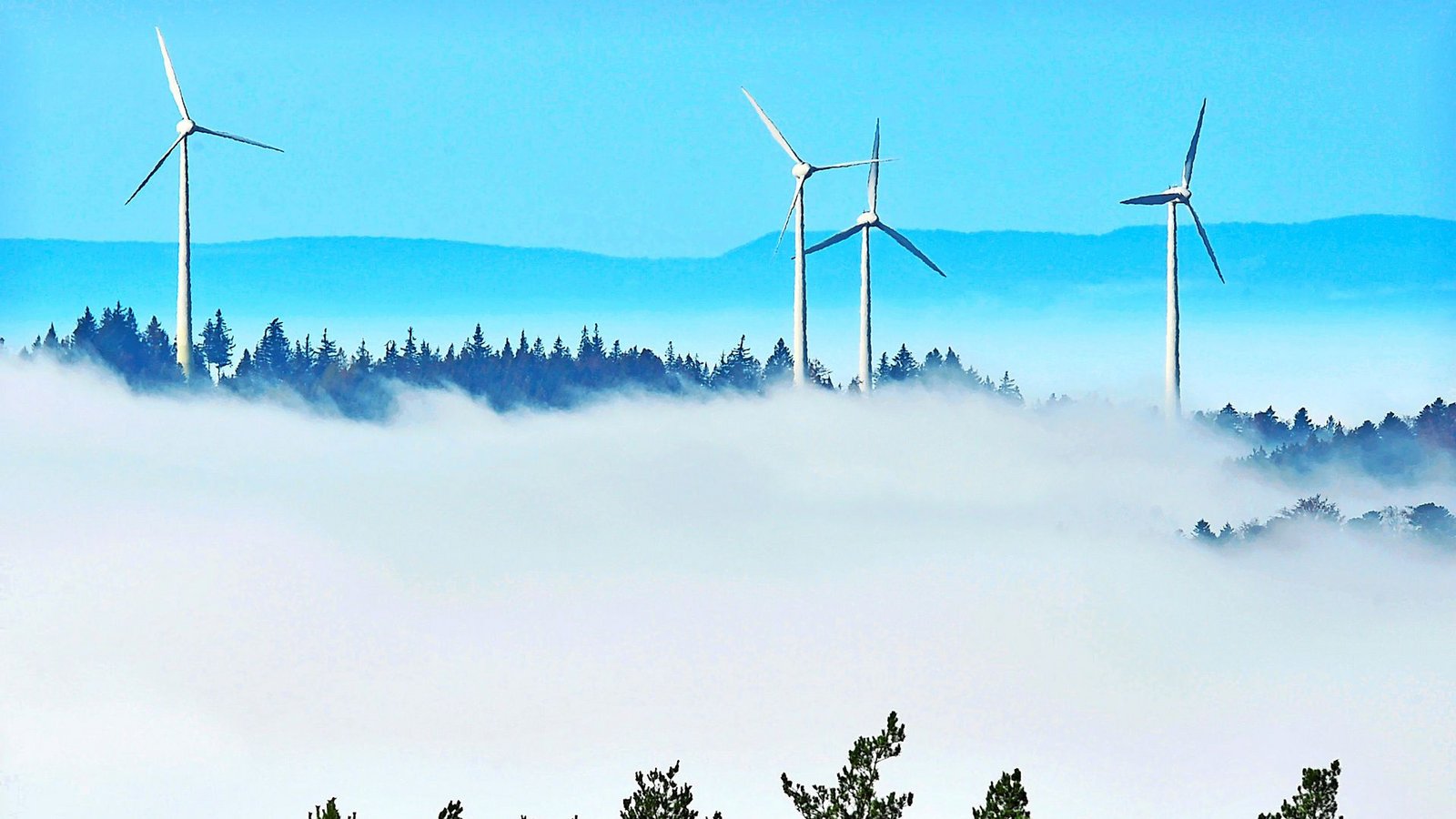 Im Schwarzwald drehen sich bereits einige Windräder – auch auf Flächen des Staatswalds.Foto: picture alliance/dpa/Rolf Haid