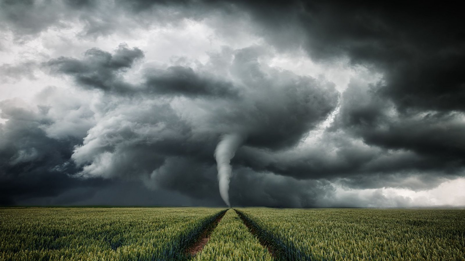 Zwischen 20 und 60 Tornados werden jedes Jahr in Deutschland entdeckt – und einige können enorm gefährlich werden.Foto: Adobe Stock/Oliver Henze Zwischen 20 und 60 Tornados werden jedes Jahr in Deutschland entdeckt – und einige können enorm gefährlich werden.Foto: Adobe Stock/Oliver Henze