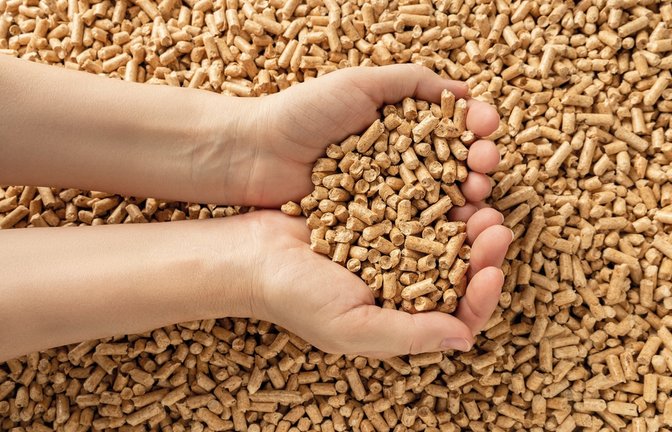 Auch Holzpellets blieben nicht von Preissteigerungen verschont.<span class='image-autor'>Foto: Maryia_K / shutterstock.com</span>