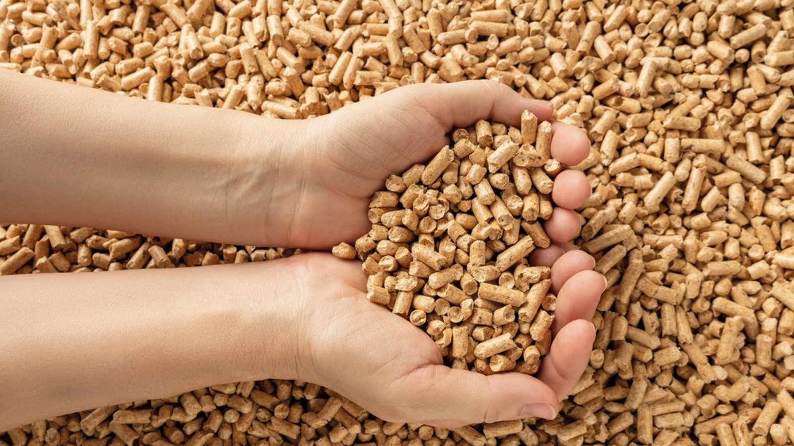 Auch Holzpellets blieben nicht von Preissteigerungen verschont.Foto: Maryia_K / shutterstock.com Auch Holzpellets blieben nicht von Preissteigerungen verschont.Foto: Maryia_K / shutterstock.com