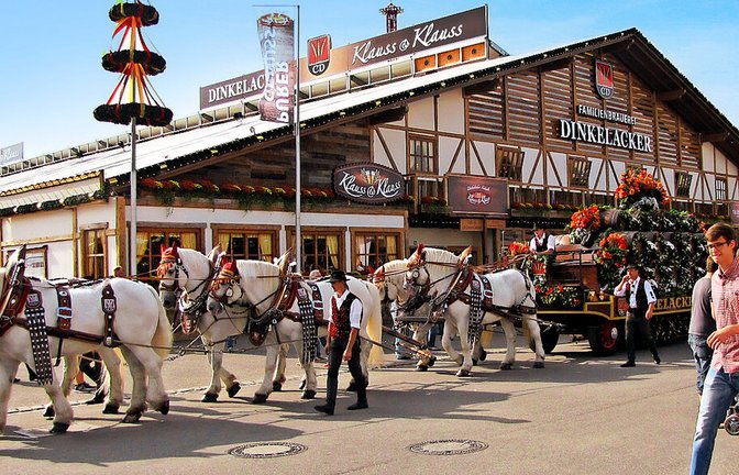 Doch noch eine Lösung gefunden: Die Brauerpferde und deren Gespanne bleiben wohl ein Stück Wasen-Tradition.<span class='image-autor'>Foto: orivat</span>