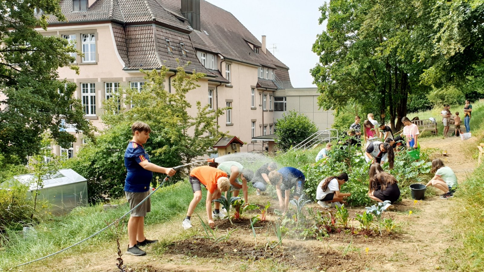 Lerngruppe 5a der Schlossbergschule bei der Arbeit im Gemüsegarten. Foto: p