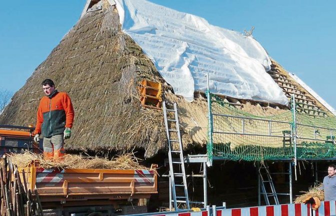 Das große Keltenhaus im Freibereich des Hochdorfer Keltenmuseums wird neu eingedeckt gedeckt.  Foto: p