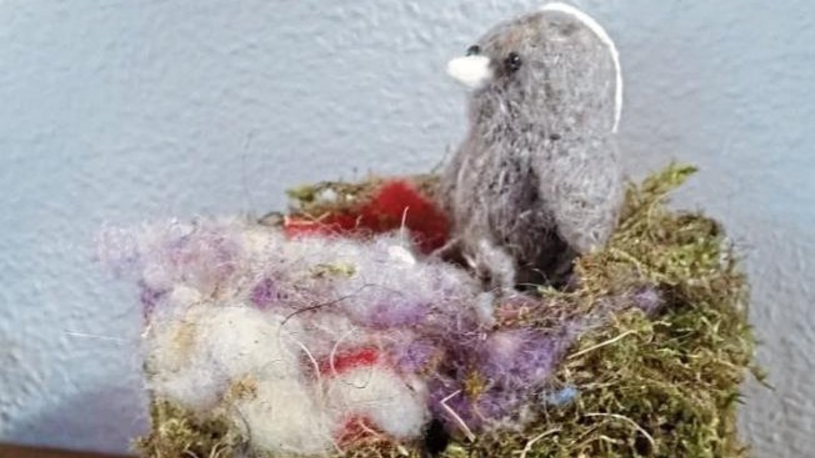 Dieses Gebilde sei beim Ausräumen des Nistkastens im Vaihinger Garten zum Vorschein gekommen, berichtet Familie Schneider. Es diene jetzt dem Filz-Spatz als Chill-Platz.